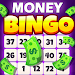 Lucky Bingo Money: Win Rewards