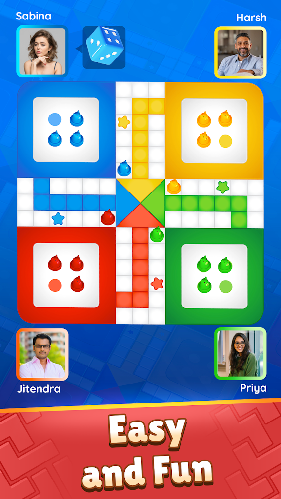 Ludo Multiplayer