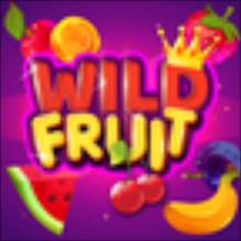 Wild Fruit Slots